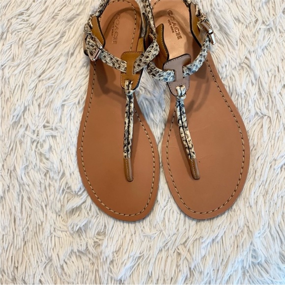 Coach Tan and Brown Snakeskin T-Strap Sandals with Gold Hardware - Picture 5 of 8